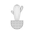 Icon with linear cactus. Linear vector illustration with exotic cactus. Succulent outline logo. Decorative flowering plant