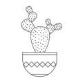 Icon with linear cactus. Linear vector illustration with exotic cactus. Succulent outline logo. Decorative flowering plant in a