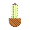 Icon with linear colorful cactus. Linear vector illustration with exotic cactus. Succulent outline logo. Decorative flowering