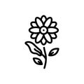 Black line icon for Magnolia, burgeon and summer