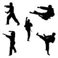 icon of man doing taekwondo kick