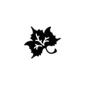 Icon. Maple leaf, tree leaf