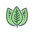 Color illustration icon for Mint, peppermint and herbal