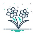 Mix icon for Narcissus, daffodil and easter Royalty Free Stock Photo