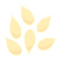 Icon of oil seeds. Vector. Flat style orange icon Royalty Free Stock Photo