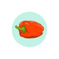 Icon orange bell pepper,sweet pepper or capsicum