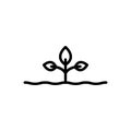 Black line icon for Origins, root and grow