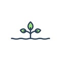 Color illustration icon for Origins, root and grow