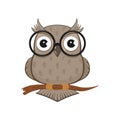 Owl with glasses Royalty Free Stock Photo