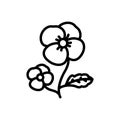 Black line icon for Pansy, ladylike and florist