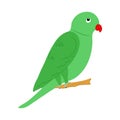 Color icon for Parrot, psittacines and fly Royalty Free Stock Photo