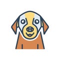 Color illustration icon for Pet, tame and domestic