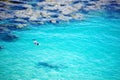 Icon photo of tropical dreams - a blue lagoon. Royalty Free Stock Photo