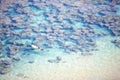 Icon photo of tropical dreams - a blue lagoon. Royalty Free Stock Photo