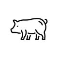 Black line icon for Pig, hog and cattle Royalty Free Stock Photo