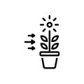 Black line icon for This, plant and arrow Royalty Free Stock Photo