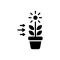Black solid icon for This, plant and arrow Royalty Free Stock Photo