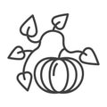 Icon of pumpkin on the vine with leaves. Minimalistic linear image. Isolated vector on a white background.