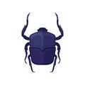 Detailed flat vector icon of purple scarab beetle. Sacred flying insect, symbol associated with ancient Egypt culture Royalty Free Stock Photo