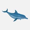 Icon realistic dolphin, water park, entertainment