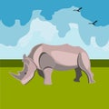 Icon of the rhinoceros, animals of Africa.