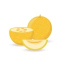 Icon of a ripe yellow melon