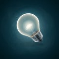 Icon science bulb