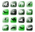 Icon set african animals Royalty Free Stock Photo