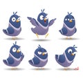 Icon set of bird character set