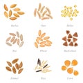 Icon set of cereal grains part 3 Royalty Free Stock Photo