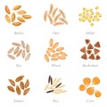 Icon set of cereal grains part 3