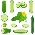 Icon Set Cucumber