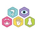 Icon set of five human senses vision eye, smell nose, hearing ear, touch hand, taste mouth. Simple line icon vector color illustra Royalty Free Stock Photo