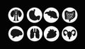 Icon set of human internal organs. Illustration in black and white style isolated on a white background. Heart, brain, lungs,