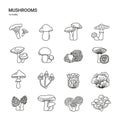 Icon set with mushrooms. Edible and poisonous fungus. Simple vector line illustrations