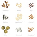 Icon set of oilseeds and oil fruits
