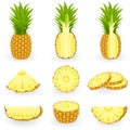 Icon Set Pineapple Royalty Free Stock Photo