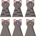 Icon set with smiling and winking blue eyes tabby gray cat
