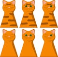 Icon set with smiling and winking green eyes tabby ginger cat