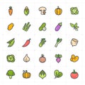 Icon set - Vegetable icon outline stroke with color Royalty Free Stock Photo