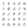 Icon set - Vegetable icon outline stroke vector illustration Royalty Free Stock Photo