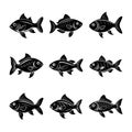 Fish Silhouette Bundle Royalty Free Stock Photo