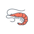 Color illustration icon for Shrimp, prawn and delicacy Royalty Free Stock Photo