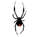 Icon silhouette of a poisonous black widow spider. template