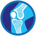 Icon or symbol of orthopedic health, knee, joints