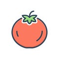 Color illustration icon for Tomato, food and plant Royalty Free Stock Photo