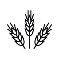 The icon of a trio of wheat spikelets. Production of bread and beer. Agricultural industry.