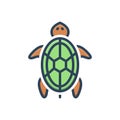 Color illustration icon for Turtle, amphibious and animal