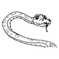 Snake icon. Vector illustration of a cute snake with his tongue hanging out. Hand drawn cartoon snake python