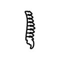 Black line icon for Vertebra, anatomy and backbone